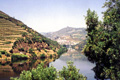  Rio Douro<br />Douro River